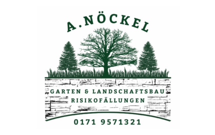 Foto von Alexander Nöckel Foto von Alexander Nöckel